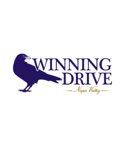 Winning Drive